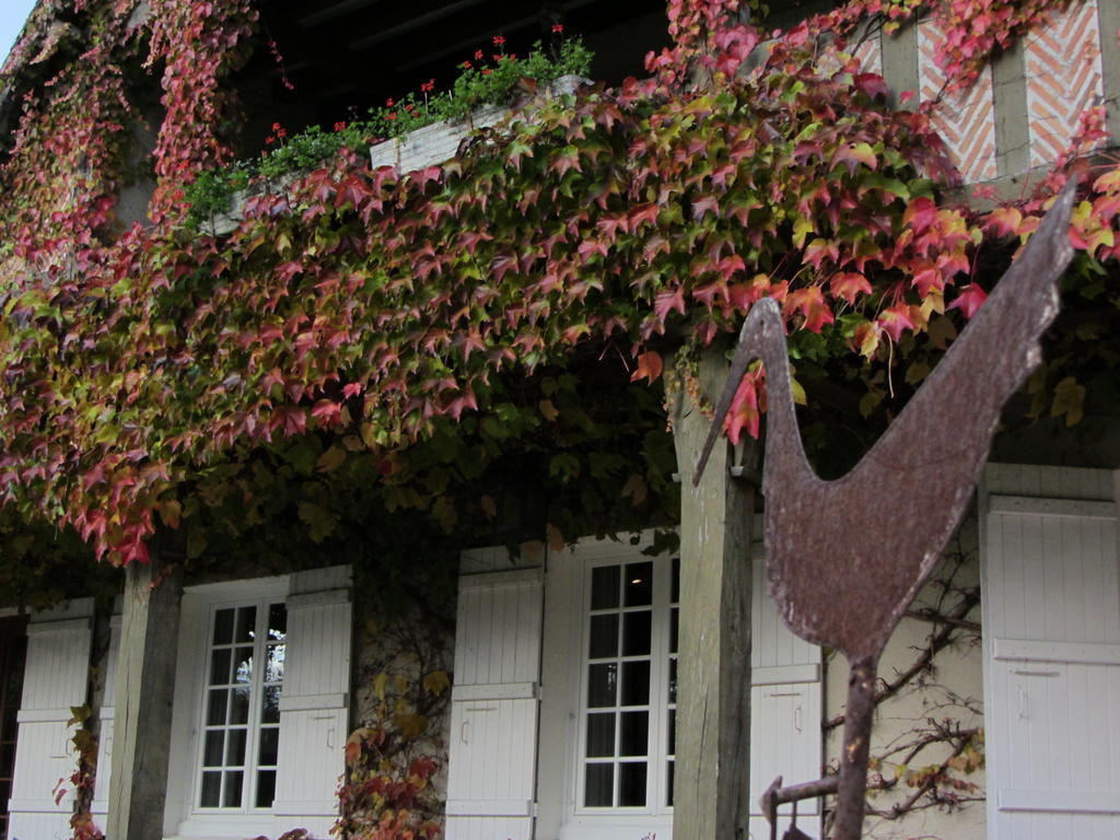 Cerdon Les Vieux Guays Bed & Breakfast エクステリア 写真